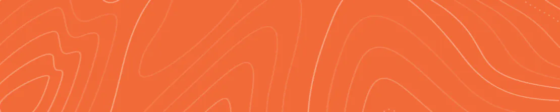 Summer Climbing Sale