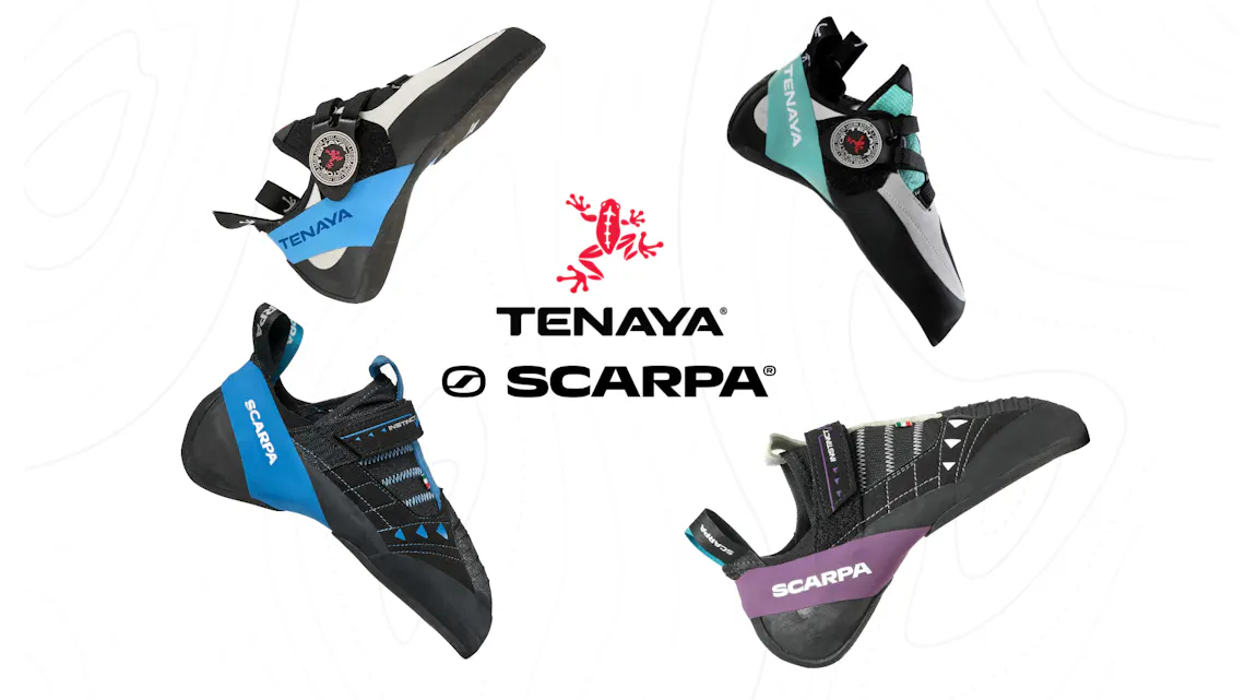 New Brands