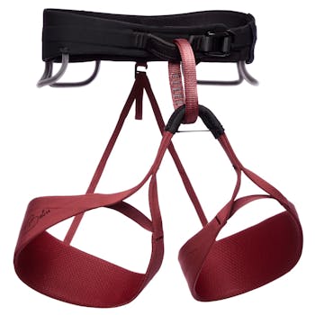 Black Diamond Women's Solution Harness
